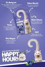 Reflex Happy Hour Üriner Sistem Destekleyici Kedi Ödül Mamasi 60 Gr 2li paket