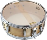 Remo 14''SNARE Ambassador Hazy Trampet Derisi