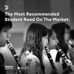 Rico by D'Addario BB klarnet yaprakları, kalınlık 3, 3'lü paket