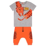 Roar Kaplan Erkek Çocuk T-shirt Kapri Şort Takım - Seçenekler: 2 Yıl, 4 Yıl, 5 Yıl, 6 Yıl, 7 Yıl