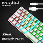 ROBEVE Blic Oyuncu Klavyesi RGB Klavye 20 Modlu Ayarlanabilir Renk Seçeneği RGB Suya Ve Toza Dayanıklı Klavye Oyun Klavyesi Oyuncu Klavye Mekanik Klavye Kırmızı Switch (Beyaz)