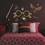 RoomMates RMK4955GM Harry Potter Gözlükleri Dev Soyma ve Çubuk Duvar Çıkartması