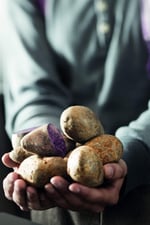 RÖSLE Patates Çatalı 12754 - Paslanmaz Çelik 17 cm, Kulp Uzunluğu 10 cm, Çatalın Üç İnce Ucu, Sıcak Patatesleri Soyarken Güvenli Bir Şekilde Tutar - Seçenekler: Pelüş patates çatalı, patates presi