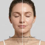 ROUNDLAB Birch Juice Moisturizing Toner Yüz Toniği 300 ml