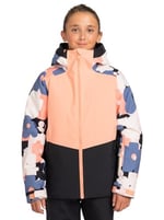 Roxy Girls Gümüş Kış Kız Çocuk Jk Ceket (1'li Paket)