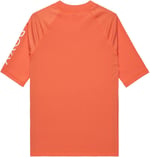 Roxy Wholehearted SS Kız Çocuk Tişörtü (1'li Paket)