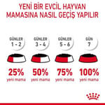 Royal Canin Hair & Skin Gravy Yetişkin Kedi Yaş Maması 12 x 85 Gr - Seçenekler: 12 x 85 grams, 12 x 85gr, 12 x 85 grams (2 paketi)...
