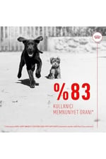 ROYAL CANIN Immun & Digest Yavru Köpek Takviye 100 G