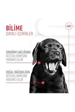 ROYAL CANIN Immun & Digest Yavru Köpek Takviye 100 G