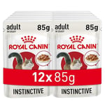Royal Canin Instinctive Gravy Pouch Yaş Kedi Maması 85 gr x 12 Adet - Seçenekler: 12 x 85gr, 12 x 85gr (2 paketi), Instinctive 7+ Yaş...