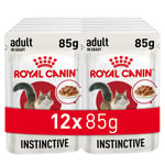 Royal Canin Instinctive Gravy Pouch Yaş Kedi Maması 85 gr x 12 Adet - Seçenekler: 12 x 85gr, 12 x 85gr (2 paketi), Instinctive 7+ Yaş...