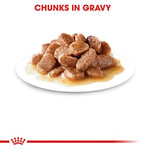 Royal Canin Instinctive Gravy Pouch Yaş Kedi Maması 85 gr x 12 Adet - Seçenekler: 12 x 85gr, 12 x 85gr (2 paketi), Instinctive 7+ Yaş...