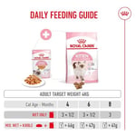 Royal Canin Kitten Jelly Pouch Yaş Mama, Yavru Kedi, 85 G x 12 Adet - Seçenekler: 1.02 kg (12 Count), 2.04 kg (24 Count), 0.4 kg, 2 kg, 4 kg...