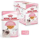 Royal Canin Kitten Jelly Pouch Yaş Mama, Yavru Kedi, 85 G x 12 Adet - Seçenekler: 1.02 kg (12 Count), 2.04 kg (24 Count), 0.4 kg, 2 kg, 4 kg...