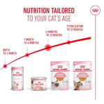Royal Canin Kitten Jelly Pouch Yaş Mama, Yavru Kedi, 85 G x 12 Adet - Seçenekler: 1.02 kg (12 Count), 2.04 kg (24 Count), 0.4 kg, 2 kg, 4 kg...