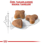 Royal Canin Sensible 33 Hassas Sindirimi Olan Kediler İçin Mama, 400 Gr - Seçenekler: 2 Kg, 15 Kg, 400 gr, 400 gr (2 paketi), 4 kg