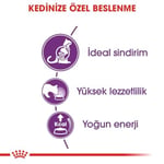 Royal Canin Sensible 33 Hassas Sindirimi Olan Kediler İçin Mama, 400 Gr - Seçenekler: 2 Kg, 15 Kg, 400 gr, 400 gr (2 paketi), 4 kg