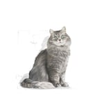 Royal Canin Sensible 33 Hassas Sindirimi Olan Kediler İçin Mama, 400 Gr - Seçenekler: 2 Kg, 15 Kg, 400 gr, 400 gr (2 paketi), 4 kg