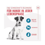 ROYAL CANIN Training Treats Köpek Eğitim Ödülü 110 G