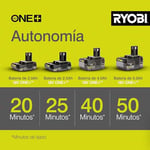 RYOBI 18 V ONE + Akülü Eksantrik Zımpara RROS18-0 (Zımpara diski boyutu 125 mm, 2,5 mm salınım devri, rölanti devri 20.000 devir/dakika, akü ve şarj cihazı hariç), yeşil ve antrasit