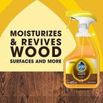 S C Johnson Wax 26363 Pledge Spray, 473,64 ml, Turuncu