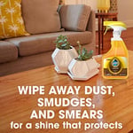 S C Johnson Wax 26363 Pledge Spray, 473,64 ml, Turuncu