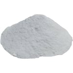 Salça Domates Turşu Koruyucu Toz Salisilik Asit 100 Gr Paket