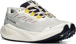 Salomon Aero Blaze 3 Grvl Gore-Tex Unisex Outdoor Koşu Ayakkabısı L47974100 Beyaz