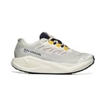 Salomon Aero Blaze 3 Grvl Gore-Tex Unisex Outdoor Koşu Ayakkabısı L47974100 Beyaz
