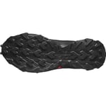 Salomon ALPHACROSS 5 GTX Yürüyüş AyakkabısıErkek