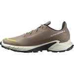 Salomon ALPHACROSS 5 Yürüyüş AyakkabısıErkek
