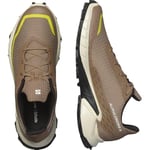 Salomon ALPHACROSS 5 Yürüyüş AyakkabısıErkek