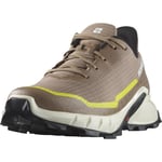 Salomon ALPHACROSS 5 Yürüyüş AyakkabısıErkek