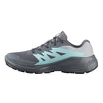 Salomon Alphaglide Gore-Tex Koşu Ayakkabısı, L47802300