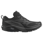 Salomon Ayakkabı Sense Ride 5 Gtx W Trail Koşu AyakkabılarıKadın