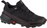 Salomon CROSS HIKE GTX 2 W Yürüyüş AyakkabısıKadın