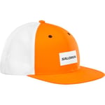 Salomon Lc2024100 Trucker Curved Cap Gri Unisex Şapka