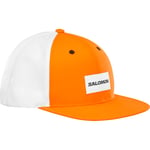 Salomon Lc2024100 Trucker Curved Cap Gri Unisex Şapka