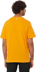 Salomon Lc2219200 Graphic Ss Tee M Kahverengi Erkek T-Shirt