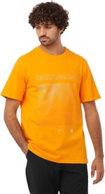 Salomon Lc2219200 Graphic Ss Tee M Kahverengi Erkek T-Shirt