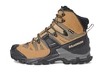 Salomon Quest 4 Gtx® Yürüyüş AyakkabısıErkek