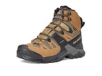 Salomon Quest 4 Gtx® Yürüyüş AyakkabısıErkek