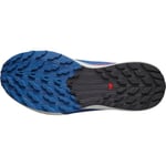 SALOMON Sense Ride 5 Yürüyüş AyakkabısıErkek