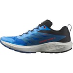 SALOMON Sense Ride 5 Yürüyüş AyakkabısıErkek