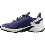 Salomon Supercross 4 Gtx W Kadın Outdoor Ayakkabısı L41733500 Renkli