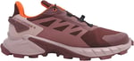 Salomon SUPERCROSS 4 GTX W Yürüyüş AyakkabısıKadın