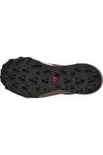 Salomon THUNDERCROSS GTX W Kadın Ayakkabı L47684700