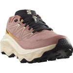Salomon Ultra Flow 2 Gtx Kadın Outdoor Koşu Ayakkabısı L47884500 Pembe