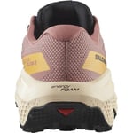Salomon Ultra Flow 2 Gtx Kadın Outdoor Koşu Ayakkabısı L47884500 Pembe