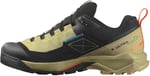 Salomon X ULTRA ALPINE GTX OUTDOOR AYAKKABIErkek